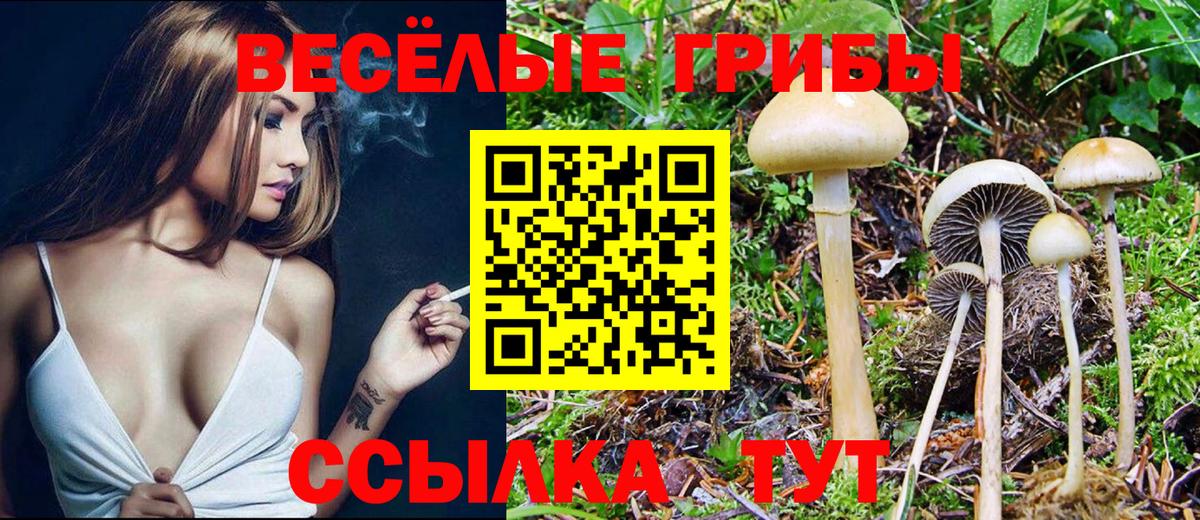 Биробиджан  Галлюциногенные грибы мухоморы  Вход с VPN 